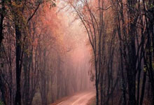 开云平台-佩斯卡拉俱乐部在比赛中脱颖而出