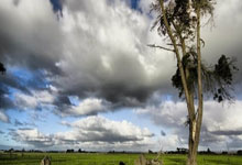 开云平台-佩斯卡拉俱乐部在比赛中脱颖而出