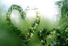 开云体育APP下载-塔斯马尼亚联进攻端火力强劲，欲破蒙特雷防线