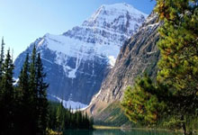 开云体育登录-勇士悉数对阵雷霆，普勒斯顶替库里首发——新组合的火花