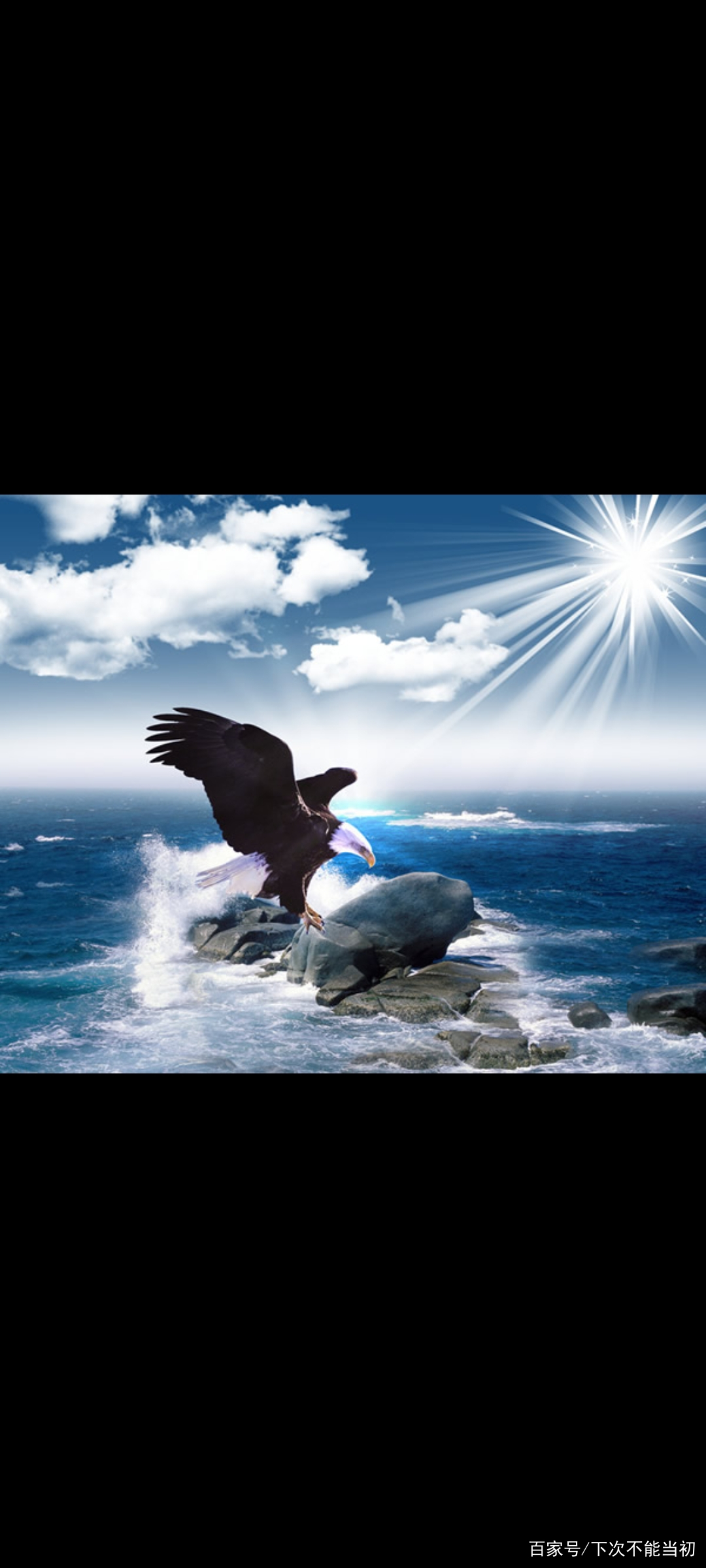 关于史篤灣展翅高飞，振翅追逐胜利航程的信息