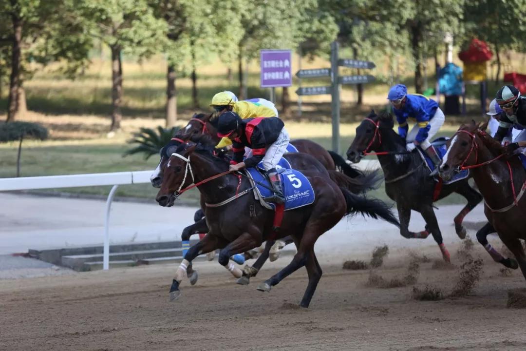 开云平台-豪取胜利！国内俱乐部在国际比赛中一马当先的简单介绍