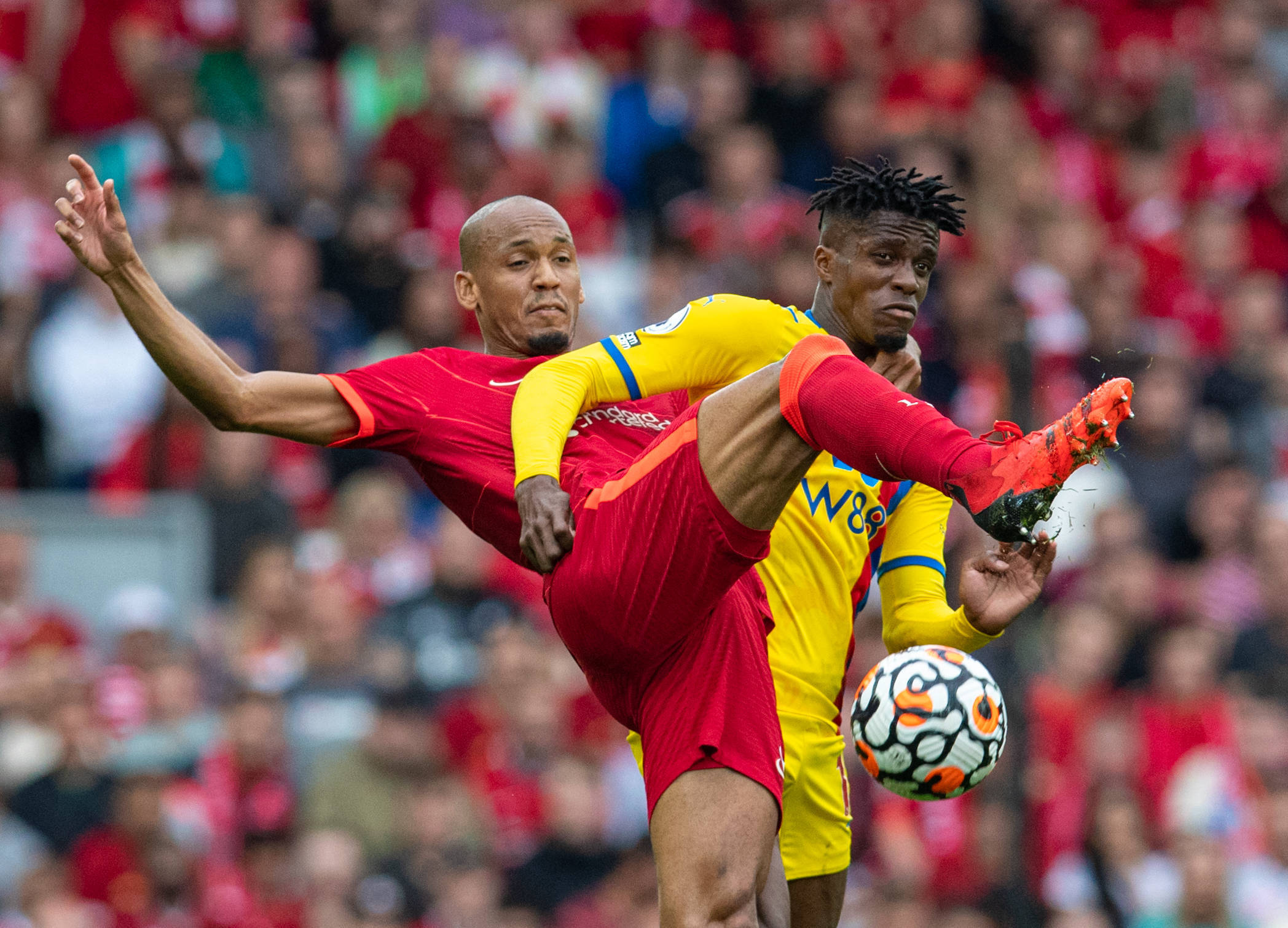 开云体育入口-关于狼队遭遇两连败，陷入英超保级泥潭的信息