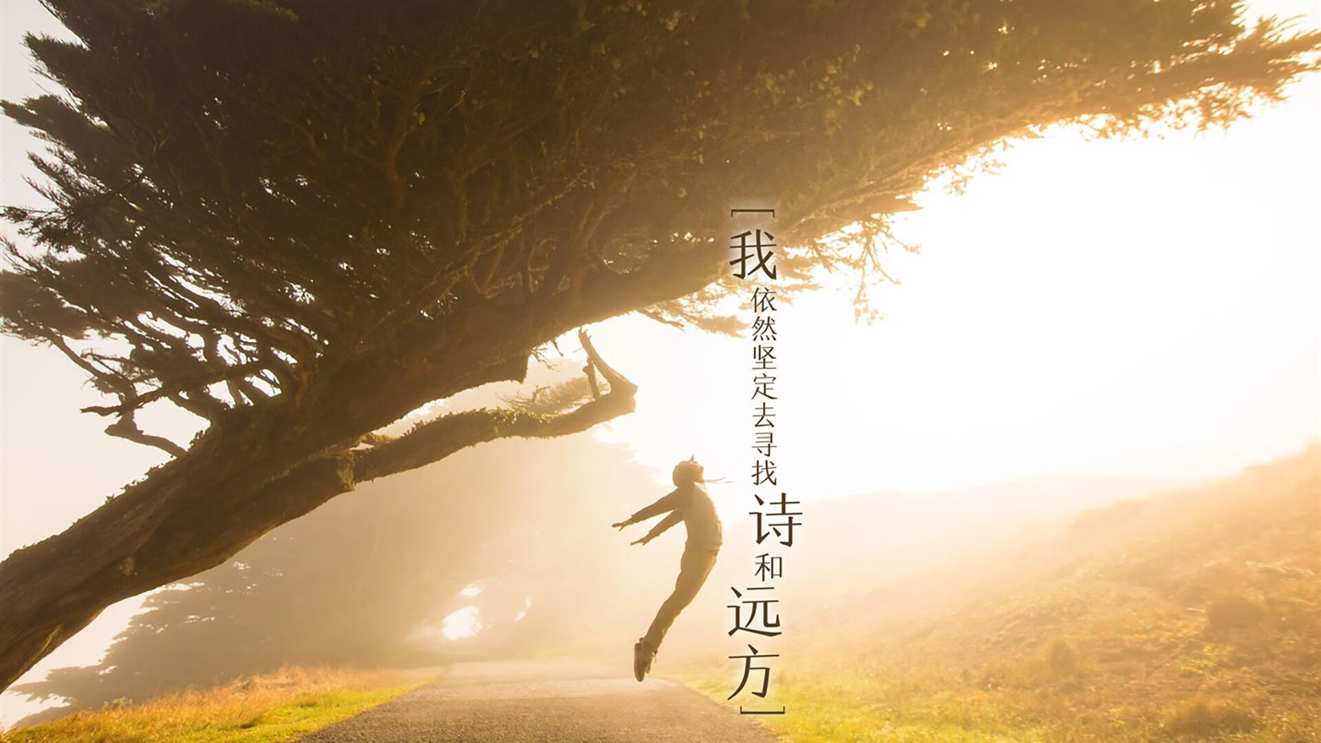 福克斯燃烧的夜晚，当个人英雄主义遇上森严体系，森林狼的防御之网让奇才窒息