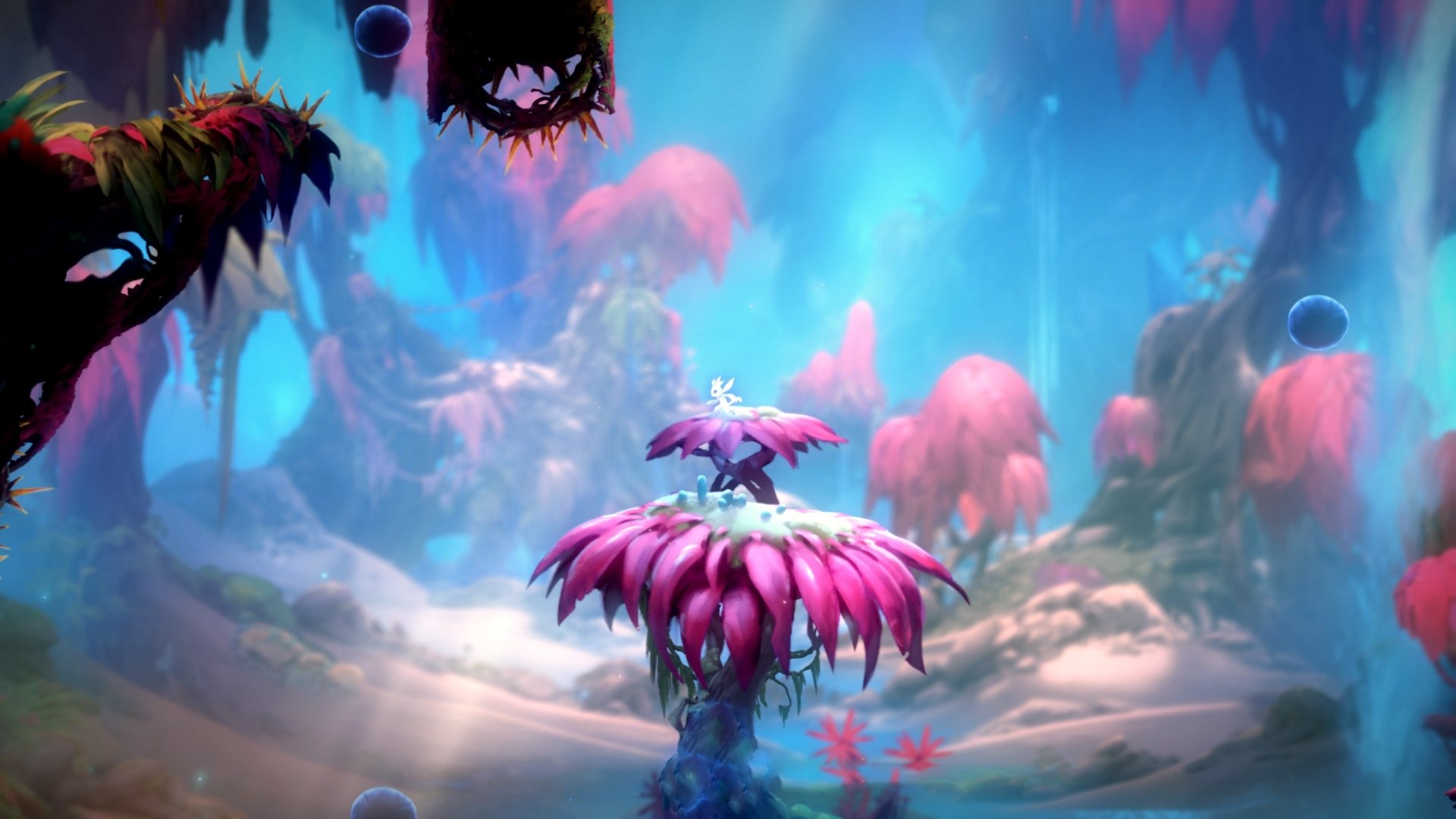 红牛风暴席卷银石，维斯塔潘的勒沃库森式完胜与英格兰的叹息