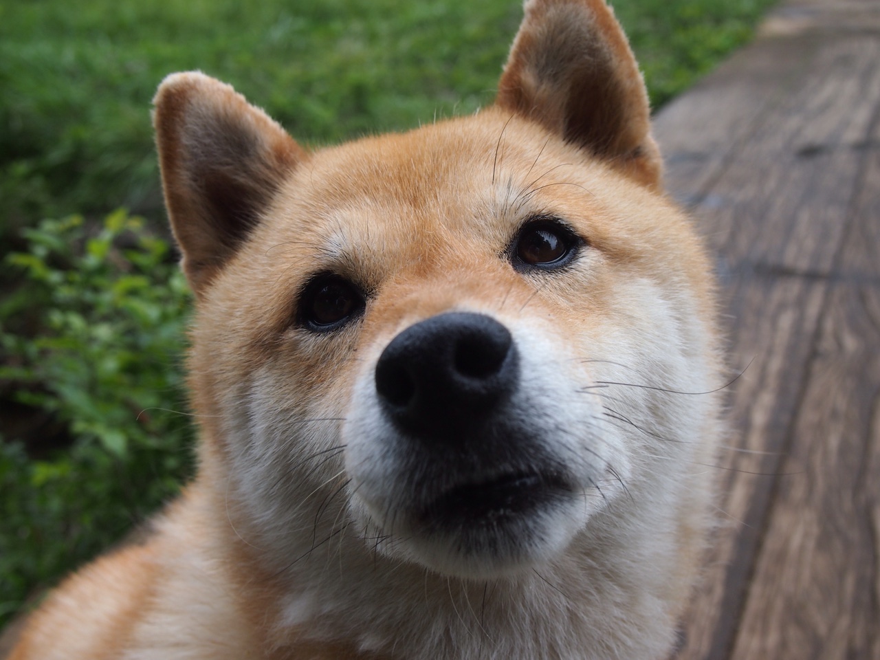 贝恩狂飙一剑封喉,当个人英雄主义点燃绝杀之夜