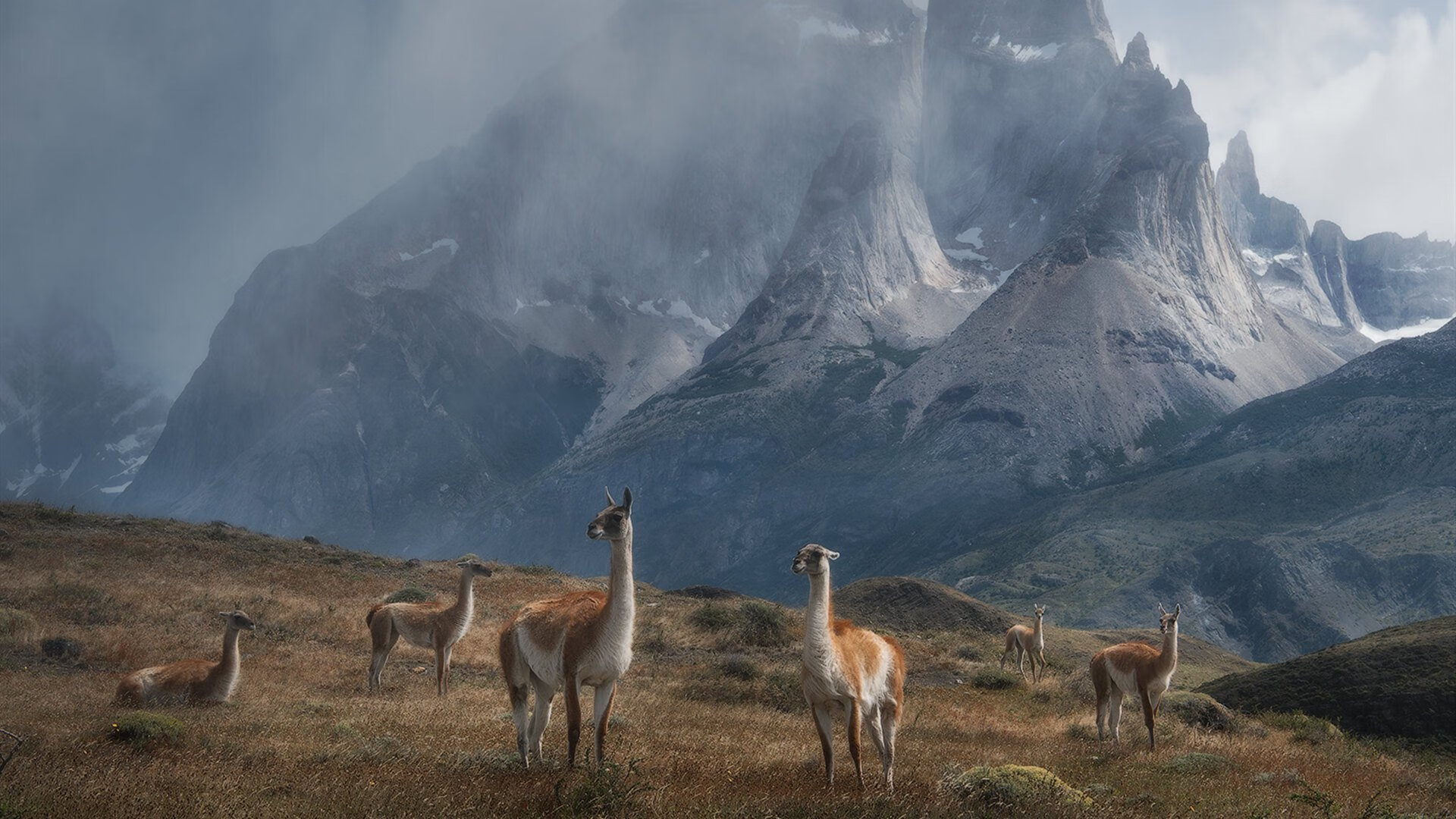 开云APP-北京队力克76人，伦纳德持续制造杀伤难救主