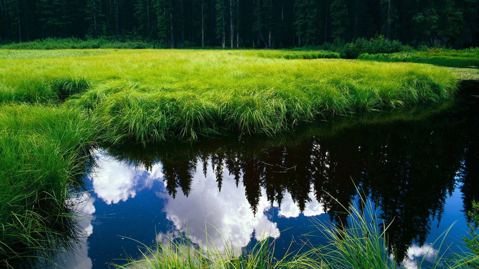 篮球双线告捷,勇士淘汰赛强势过关新疆队,布伦森欧冠半决赛接管比赛创传奇