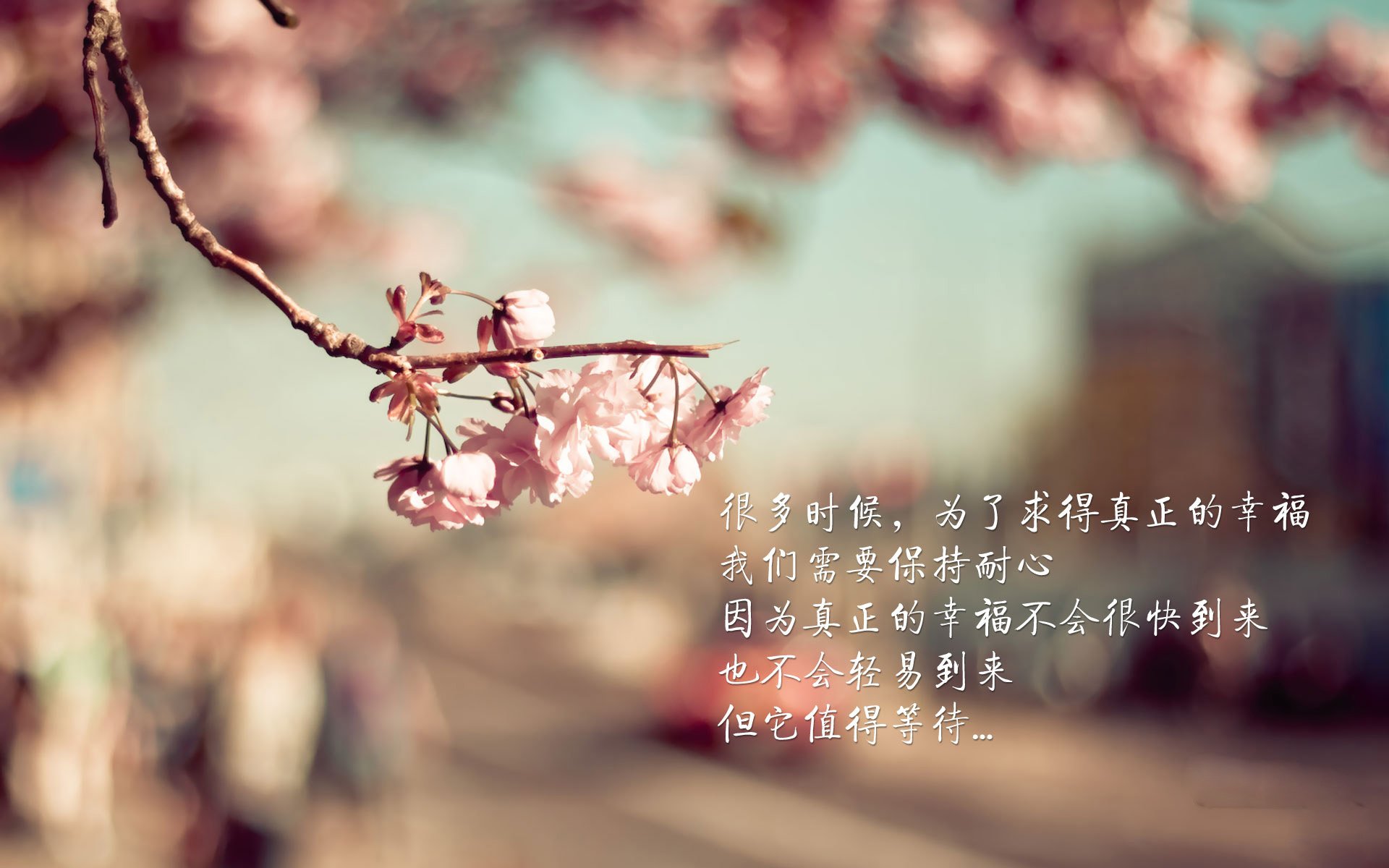 铁血防线！阿劳霍一夫当关，乌拉圭热身赛力克马赛显峥嵘